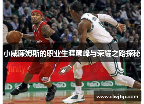 小威廉姆斯的职业生涯巅峰与荣耀之路探秘