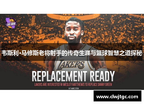 韦斯利·马修斯老将射手的传奇生涯与篮球智慧之道探秘