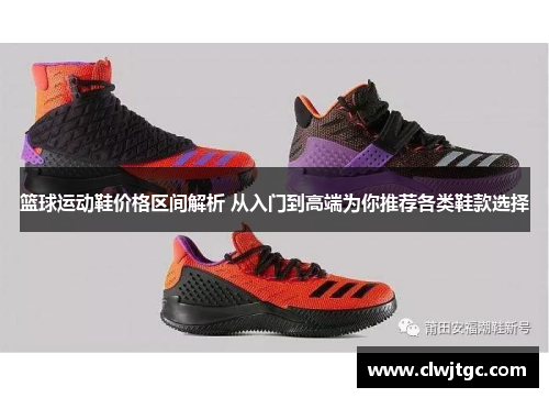 篮球运动鞋价格区间解析 从入门到高端为你推荐各类鞋款选择