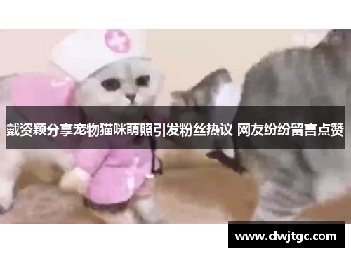 戴资颖分享宠物猫咪萌照引发粉丝热议 网友纷纷留言点赞