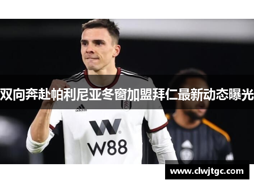 双向奔赴帕利尼亚冬窗加盟拜仁最新动态曝光