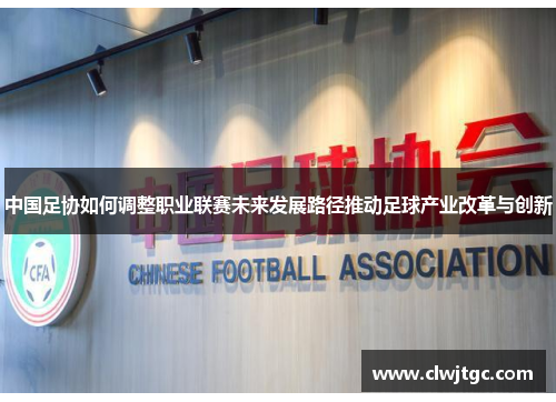 中国足协如何调整职业联赛未来发展路径推动足球产业改革与创新