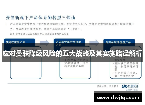 应对曼联降级风险的五大战略及其实施路径解析