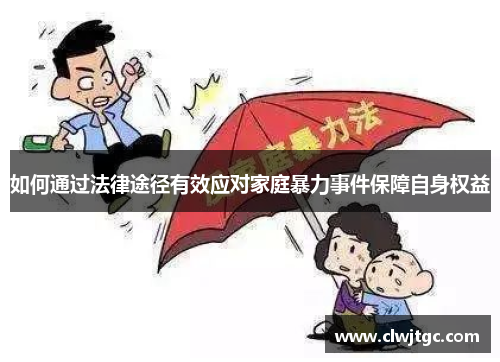 如何通过法律途径有效应对家庭暴力事件保障自身权益