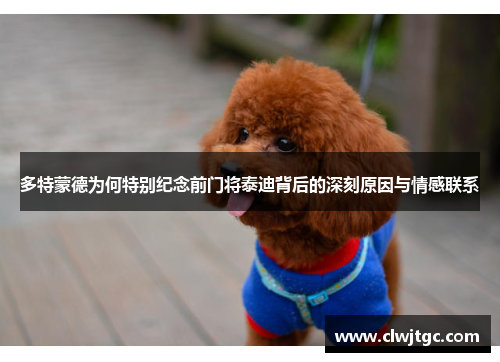 多特蒙德为何特别纪念前门将泰迪背后的深刻原因与情感联系