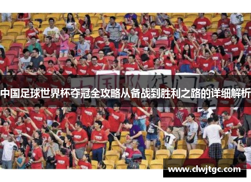 中国足球世界杯夺冠全攻略从备战到胜利之路的详细解析