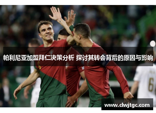 帕利尼亚加盟拜仁决策分析 探讨其转会背后的原因与影响
